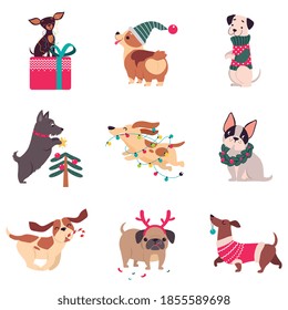 Funny Dogs with Christmas Symbols Set, Xmas and New Year, Happy Winter Holidays Concept Cartoon Style Vector Illustration