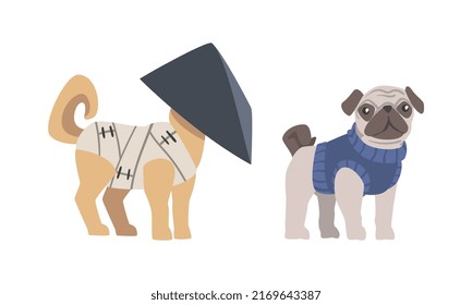 Funny dogs dressed for carnival party or masquerade set cartoon vector illustration