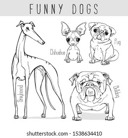 Funny dogs – Greyhound, Chihuahua, Pug, Bulldog. Humor set collection, hand drawn style print. Vector black and white illustration.