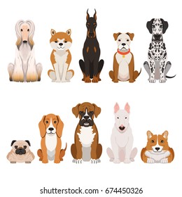 Funny dogs illustrations in cartoon style. Domestic pets