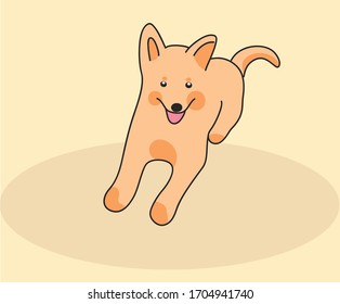 funny dogs puppies rejoices jumping and playing, color background