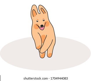 funny dogs puppies rejoices, jumping and playing, transparent background