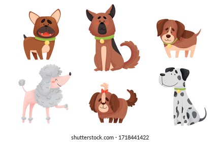 Funny Dogs in Sitting and Standing Poses Vector Set