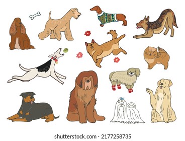 Funny dogs vector illustrations set