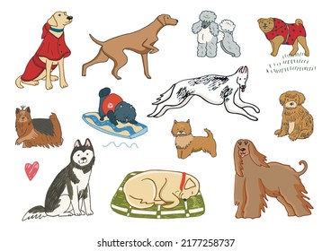 Funny dogs vector illustrations set