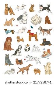 Perros divertidos ilustraciones vectoriales set afiche