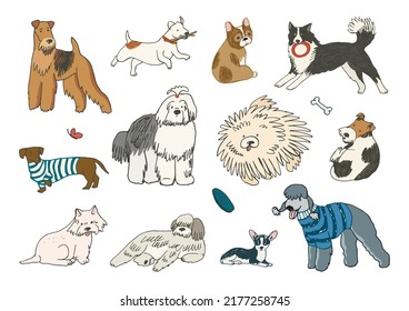 Funny dogs vector illustrations set