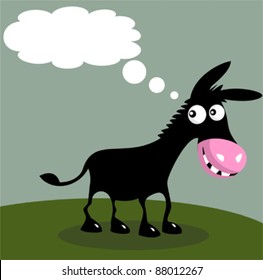 Funny donkey