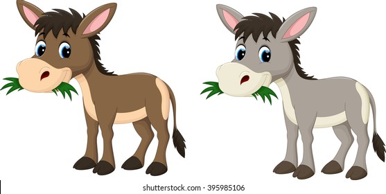 Funny Donkey Eating Grass