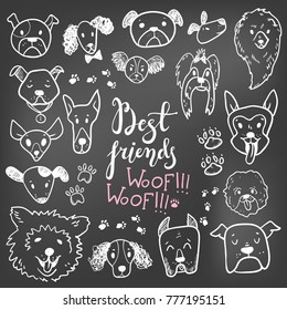 Funny doodle dog icons collection on the chalk board. Hand drawn pet, kid drawn design. Cute modern elegant style, different breeds