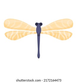 Funny dragonfly icon cartoon vector. Wing insect. Animal flying