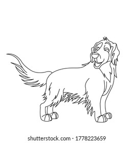 The Funny drawing of dogs