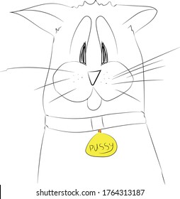 Funny drawn cat with a long mustache. A tongue-protruding animal. In a collar with a medallion of Pussy. Vector graphics. A simple hand-drawn image.