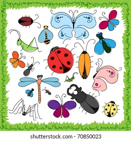 funny drawn insects on a white background