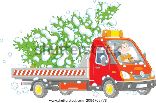 Funny driver in a small truck carrying a snowy\
Christmas tree from a winter forest, vector cartoon illustration on\
a white background