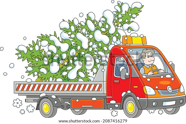 Funny driver in a small truck carrying a snowy\
Christmas tree from a winter forest, vector cartoon illustration on\
a white background