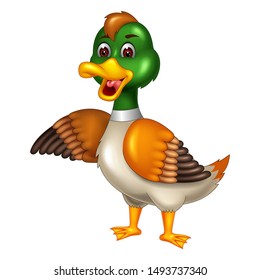 Funny Duck Cartoon for your design