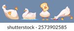 Funny duck characters set isolated on background. Vector cartoon illustration of cute duckling lying, swimming on water, playing with bread, running, comic farm bird mascot, domestic animal breeding