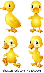 Funny duck collection set