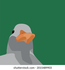 Funny duck looks from above illustration