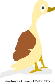 Vector de pájaro aislado de pie de pato divertido