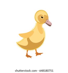 Funny duckling character. Vector illustration