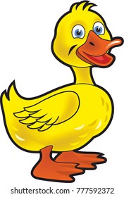 Funny duckling on white background