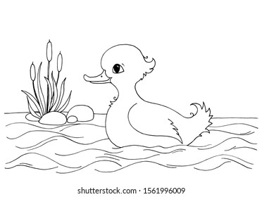 Funny duckling and reeds coloring book page. Anti stress drawing therapy for adults and children. Meditative coloring.  