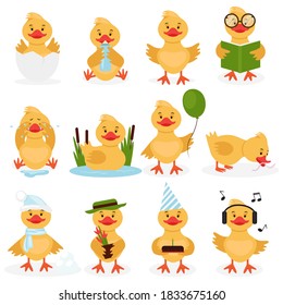 Funny duckling set. Cute little yellow duck chick characters set. Bird duckling, funny and happy chick character on a white background practicing different activities. Vector illustration
