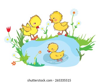 Funny ducks in the pond and flowers - illustration