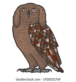 Funny eared owl. Fairytale bird, animal. Sketch scratch board imitation.