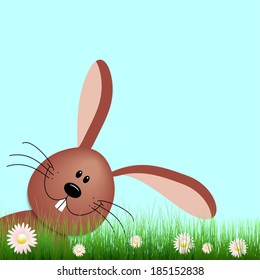 funny easter rabbit on a meadow