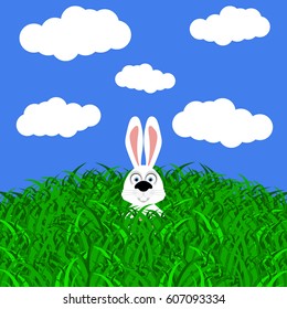 Funny easter rabbit on white background