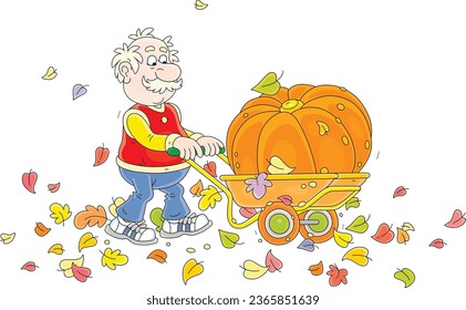 Divertido anciano aldeano mientras cubría su carro con una gran calabaza madura de un jardín de otoño en el campo, ilustración de caricatura vectorial aislada en un fondo blanco