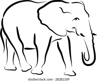 funny elephant