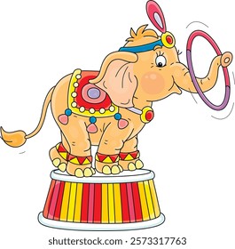 Funny elephant balancing on a colorful striped podium and playing with a big beautiful hoop in an amusing acrobatic circus performance, vector cartoon illustration on a white background