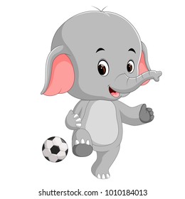 funny elephant cartoon with ball