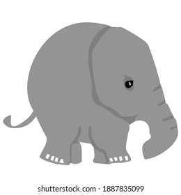 Funny Elephant Isolated Animal Vector