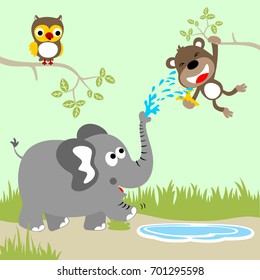 Funny elephant spraying water to monkey, cute owl perching on tree branch, vector cartoon illustration