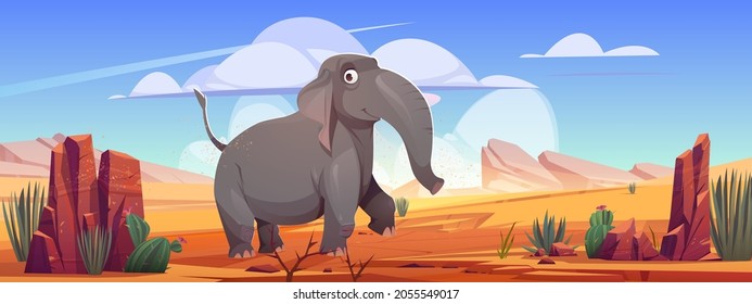 Funny elephant walk at desert landscape, cartoon wild animal character at deserted nature background with sand, rocks and cacti. Wildlife, safari park or outdoor zoo environment, Vector illustration