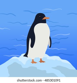 Funny emperor penguin on background of arctic glacier. Blue penguin with white belly. Animal adorable penguin vector character. Charming penguin. Wildlife character