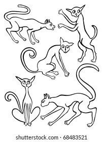 Funny energetic cats in different poses and in motion. Each image on it's own layer.