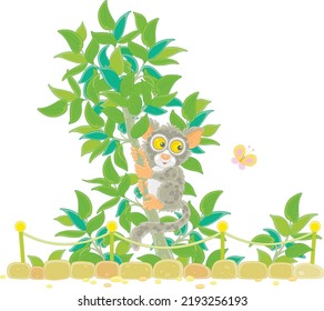 Funny exotic Philippine tarsier on a small tropical tree in an open-air cage of a zoological garden, vector cartoon illustration isolated on a white background