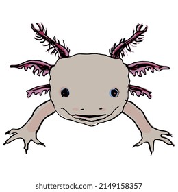 Funny face of a happy smiling baby Axolotl. Mexican walking fish. Neotenic fire salamander. Hand drawn colorful doodle sketch. Isolated vector illustration. 