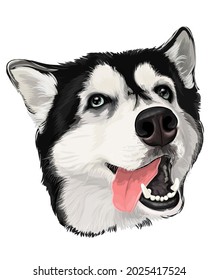 Funny face of husky puppy vector art dog