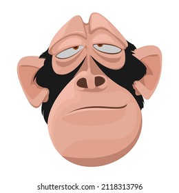 funny face of a monkey