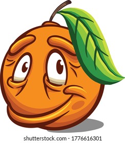 Funny Face Orange Fruchtlogo Symbol