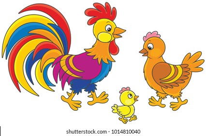 Funny family of a brightly colored rooster, a cute hen and a little chick