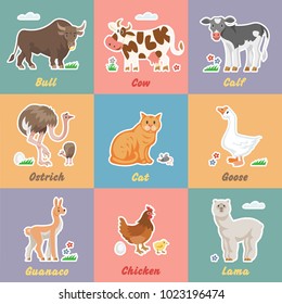 Funny farm animals with bull, cow, calf, ostrich, cat, mouse, goose, guanaco, chicken and lama. Collection of comic tile village pet vector illustration. Set of happy flat farming icon.