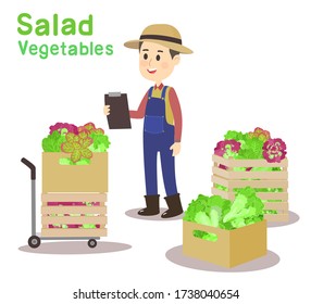 Funny Farmer and Salad Vegetable Vector